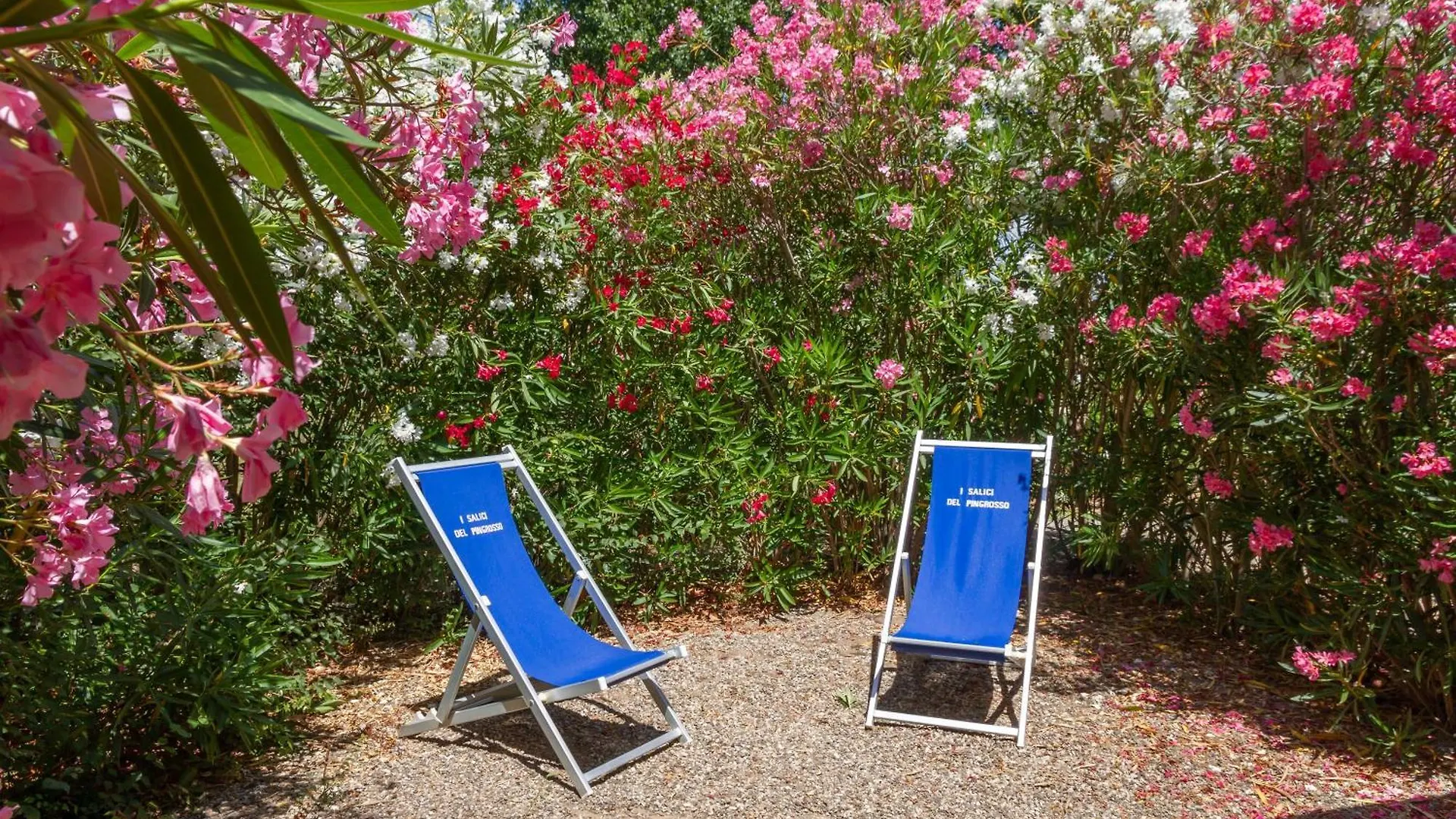 Bilo Iris Villa Marina di Grosseto 0*,  Italy