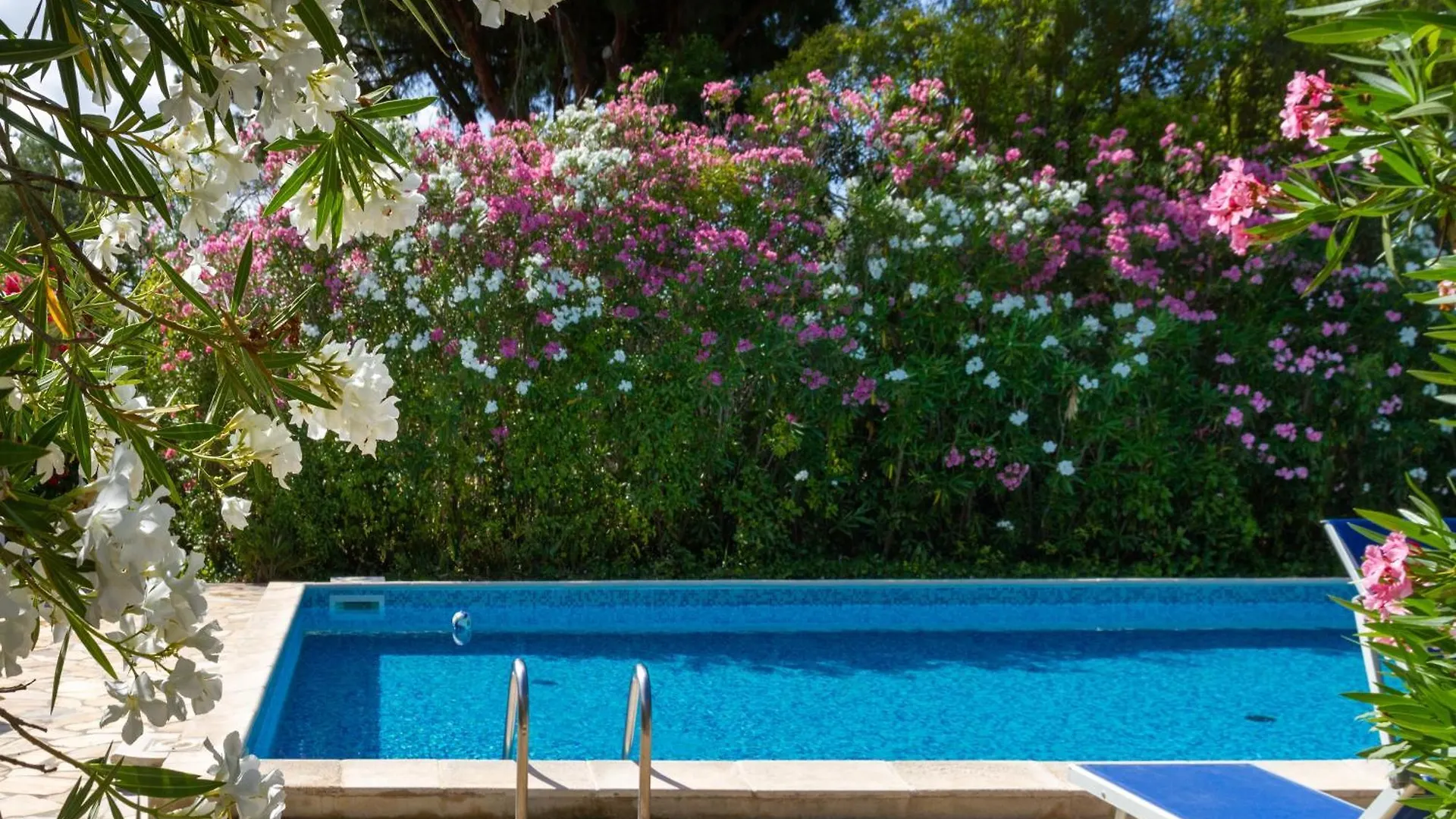 Farm stay Bilo Iris Villa Marina di Grosseto