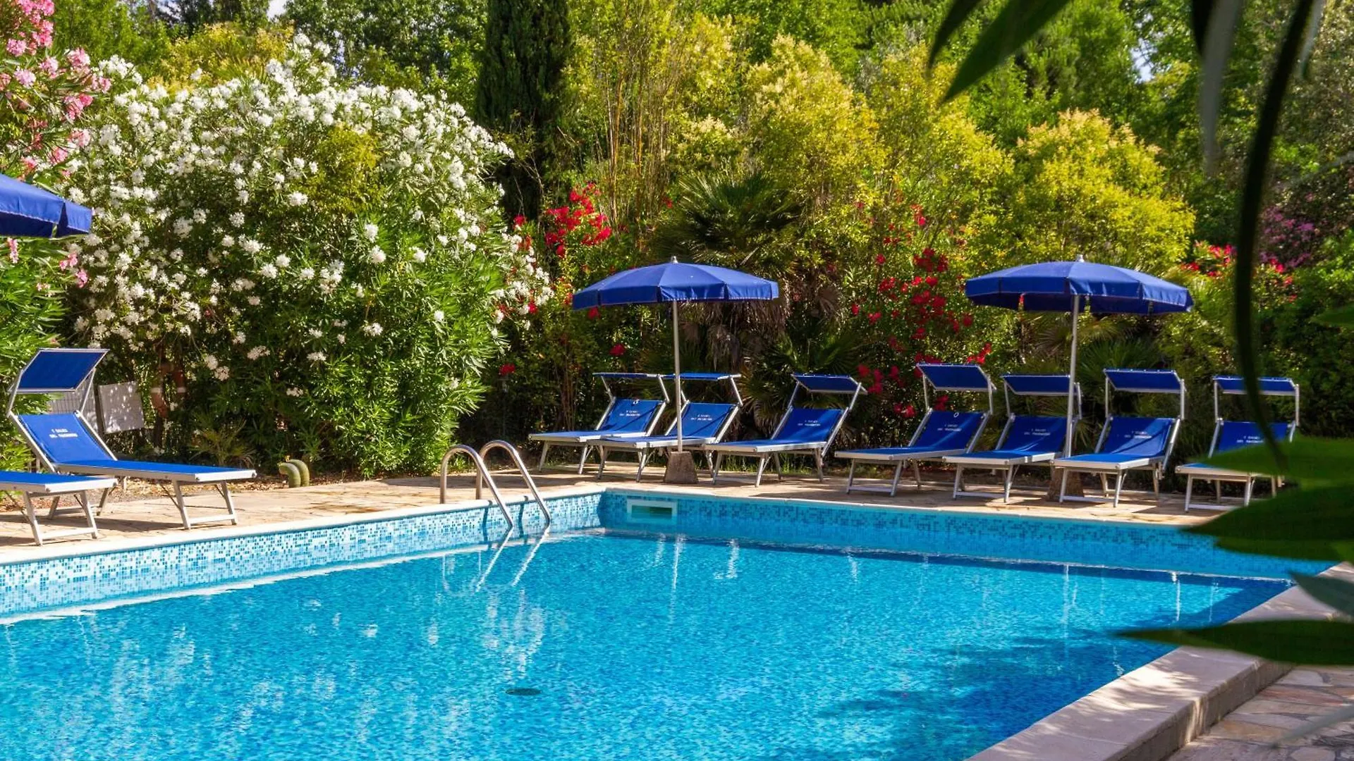 Bilo Iris Villa Marina di Grosseto Italy